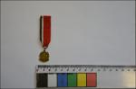 Medalha Jorge Tibiriçá (miniatura).