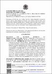 Ata da 13ª Sessão de Julgamento, Virtual, de 12 a 15/04/2021