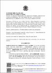 Ata da 13ª Sessão de Julgamento (Extraordinária), Presencial (Videoconferência), em 23/03/2022