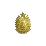 Distintivo - Escola Militar- Coleção Syseno Sarmento