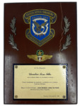 Placa De Homenagem – Fuerza Aerea Panameña – Coleção Cherubim Rosa Filho
